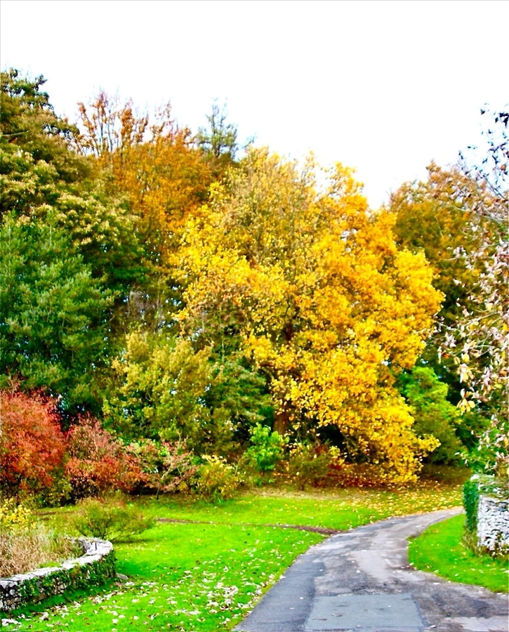 Autumn Colours 1 - Brian Daley